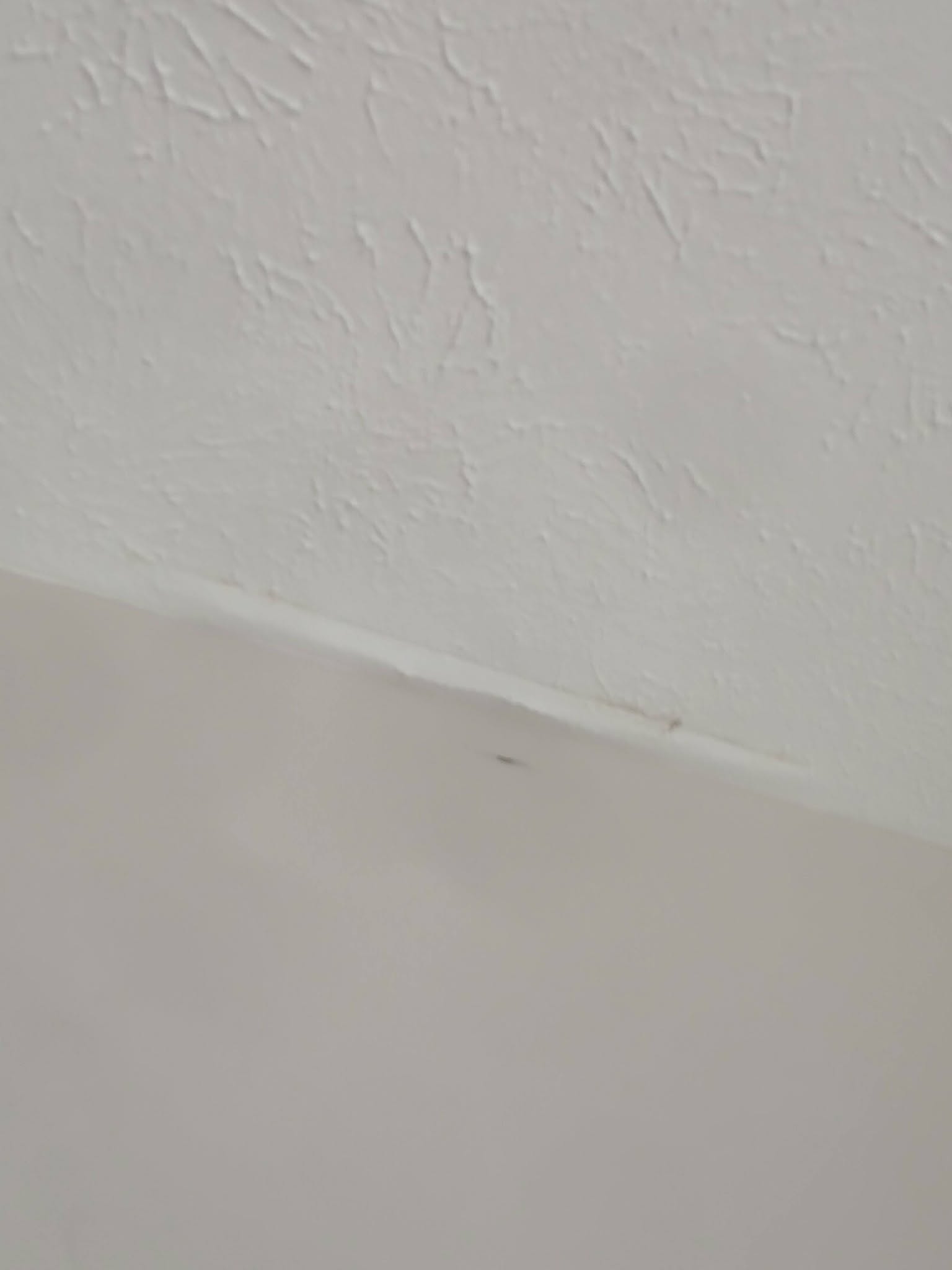 Hairline crack along the ceiling before repair